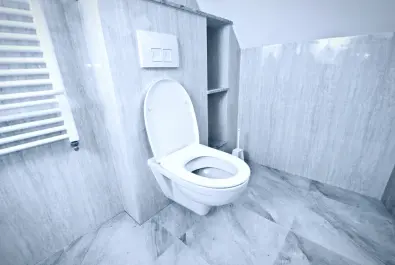 Tuvalet Tıkanıklığı Açma