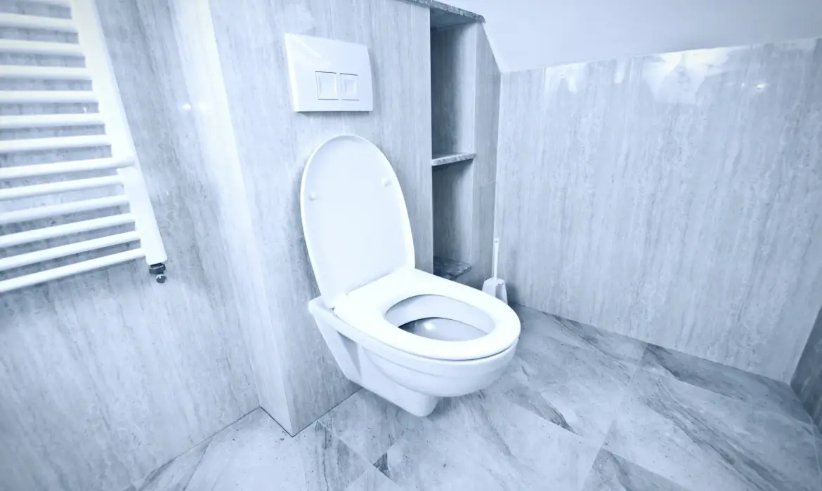 Tuvalet Tıkanıklığı Açma